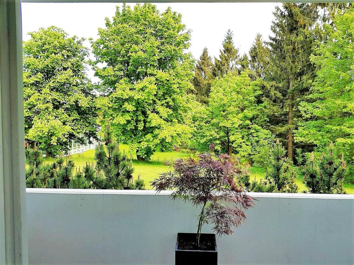 Grossdorf Ferienwohnung Waldsuite Im Harz Goslar Kültér fotó