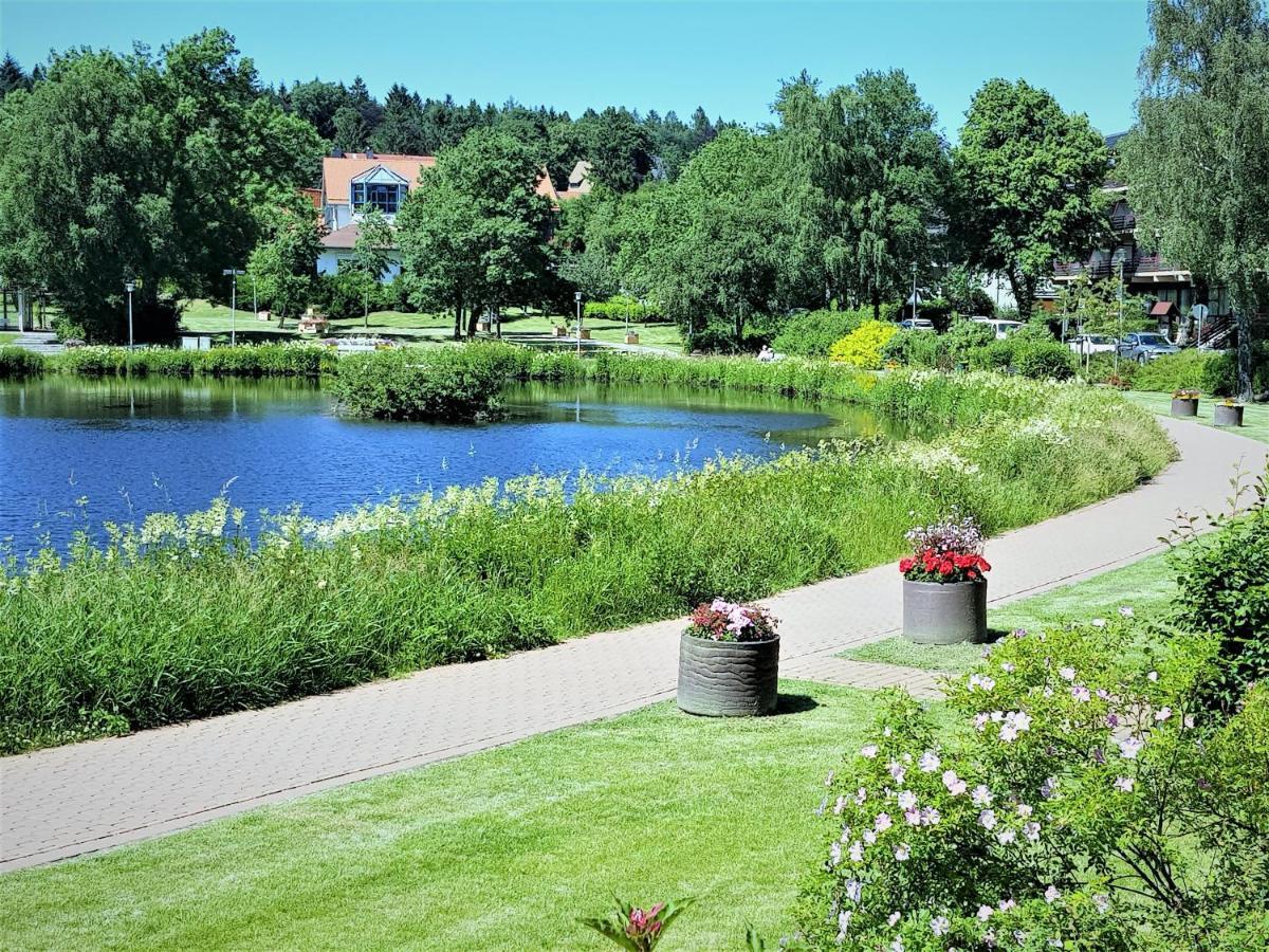 Grossdorf Ferienwohnung Waldsuite Im Harz Goslar Kültér fotó