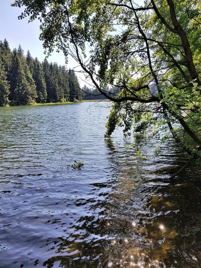 Grossdorf Ferienwohnung Waldsuite Im Harz Goslar Kültér fotó